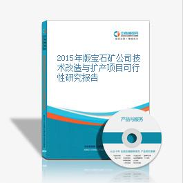 2015年寶石礦公司技術改造與擴產項目可行性研究報告分析